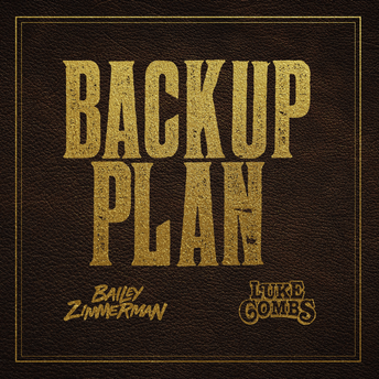 	Backup Plan	